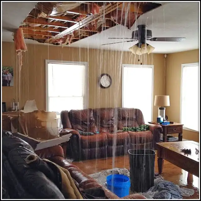 Water Damage Restoration services in Seminole, TX