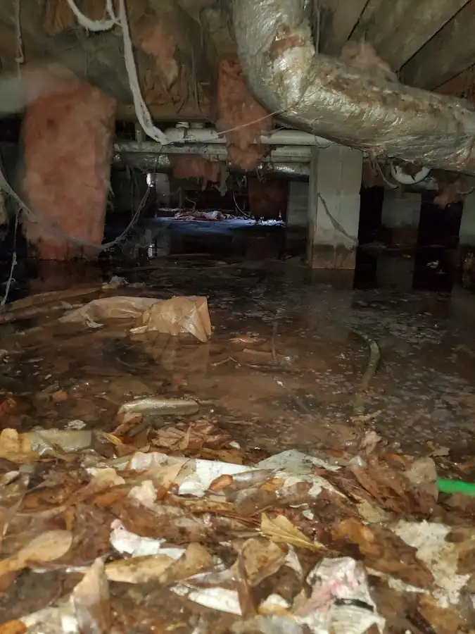 Crawl space flood assessment for Commercial Water Damage Restoration in Seminole